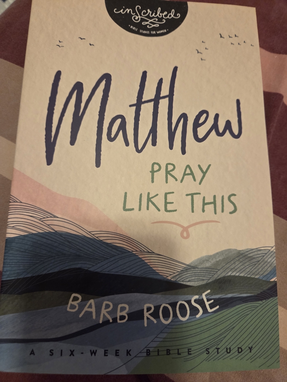Matthew: Pray Like This by Barb Roose - Bible Study Book